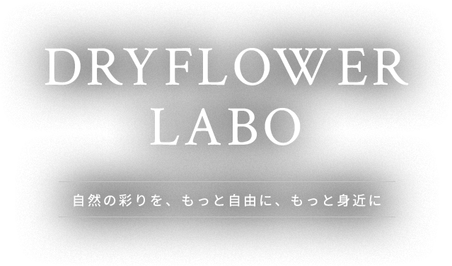 DRYFLOUR LABO
