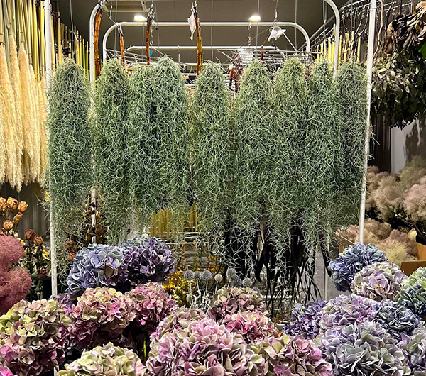 花材購入の方へ